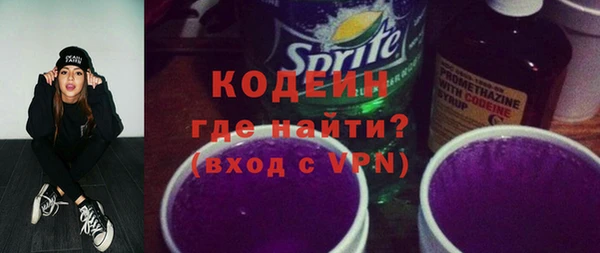 дмт Билибино