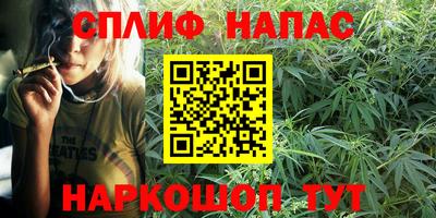 СК Будённовск