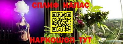 прущие грибы Балаково