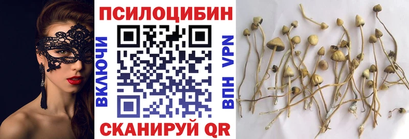 Псилоцибиновые грибы ЛСД  как найти закладки  Всеволожск 