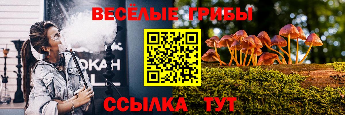 Псилоцибиновые грибы мухоморы Всеволожск