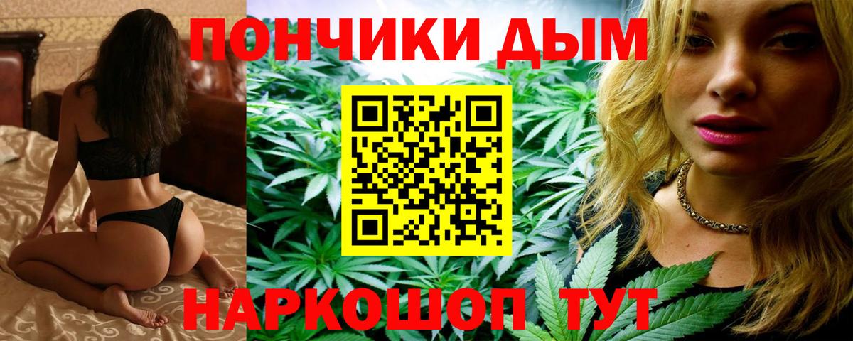 Марихуана сатива  Бошки Шишки план  Всеволожск  Вход с VPN  Марихуана VHQ 